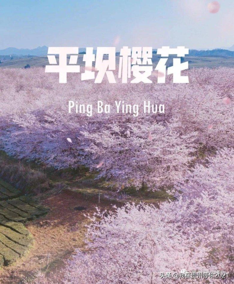 如果大家可以和王菲偶遇,大家会做些什么?红迪网平台-为你提供最新、最热的如果大家可以和王菲偶遇,大家会做些什么?资讯